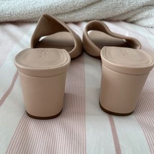 M. Gemi mules